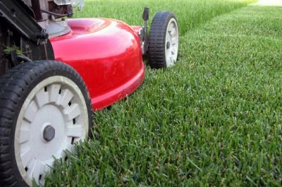 Lawn Care